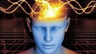 5 Amazing Psychology Facts About the Human Brain and behavior| Mind Science 