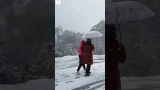 snow fall in lava (kalimpong)