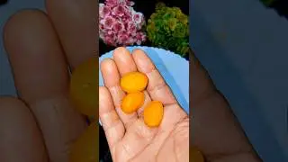 mango 🥭 flavour candy 😋😋#youtubeshorts #shorts 🥭🥭