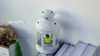 Wholesale mini handmade unique cactus candle jars