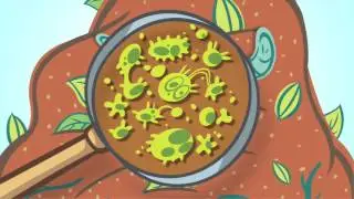 BAG TO EARTH: The Right Food Cycle