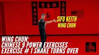 Wing Chun Power Development: Snake Turns Over Exercise