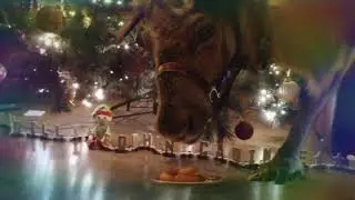 Elf brought a rander in to the house