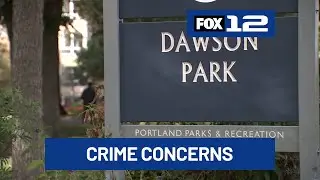 Neighbors express concern over violent crime at Dawson Park