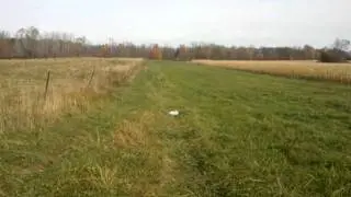 wicked ridge invader test at 50 yards