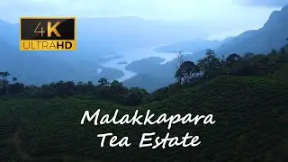 Malakkapara Tea Estate | 4K Drone Shot | Sholayar Dam View