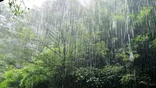 ☕🌧️ Rainy Jazz Caf&eacute; | Cozy Lofi Jazz & Smooth Background Music for Focus & Relaxation