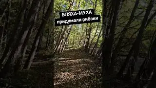 #fishing #форель #travel #foryou #рекомендации #parati