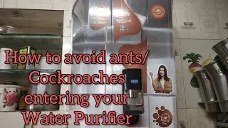 How to get rid of Ants/Cockroaches entering into your Water Purifier