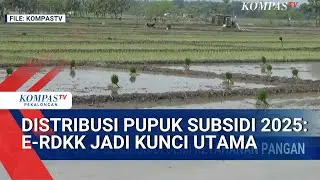 Aturan Baru Pupuk Subsidi: Pakai e-RDKK Biar Adil!
