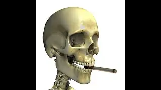 20:59 RSG