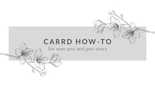 how to carrd &mdash; pro & non-pro stuff &mdash; use a timer, double border, smooth page transition etc.