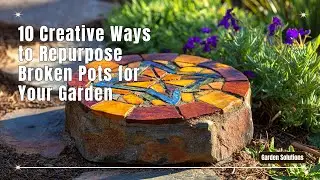 10 Creative Ways to Repurpose Broken Pots for Your Garden