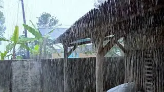 Rain Sounds for Sleeping &ndash; ASMR Rain on Shingle Roof for Sleeping & Relaxing