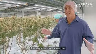 Inside Medcan with Craig Cochran