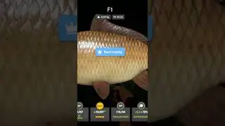 🔥 BLUE TAG CAPTURAT &icirc;n Russian Fishing 4! | Pește RAR & Fight EPIC 🎣 #russianfishing4 #carpfishing