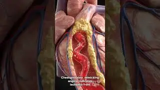5 Warning Signs of Weak Heart | Early Symptoms You Should Never Ignore