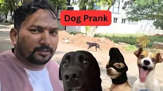 Dog sound prank | talk with dogs | Real Aggressive Dog Barking