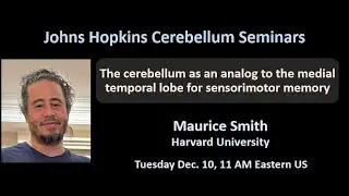 Maurice Smith: Cerebellum and human motor memory