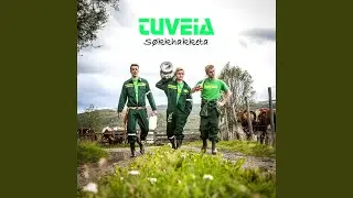 Søkkhakketa