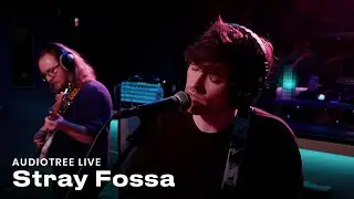 Stray Fossa - How Come? | Audiotree Live
