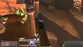 Vanity Pet Glitch
