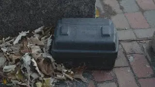 Boston's plan to tackle the rat problem