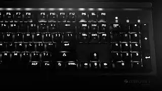 Zebronics Zeb- Max pro Mechanical Gaming Keyboard(Black)