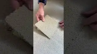Любой цвет, который вам нравится #шорты