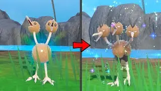 Как эволюционировать Додуо в Дотрио в дополнениях Pokemon Scarlet & Violet