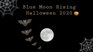 Halloween Blue Moon Rising 🎃🌕🦇 October 31st 2020