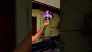 Best Flying Toy for Kids EVER..!#viral#toys#songviral#beautiful#top#trending#play#fly#super#cutebaby