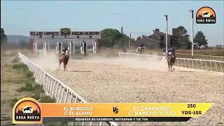 El Chaparro C. Rancho Viejo vs El Boruca C. Alamo - 250 Yds - Club Hipico Agua Nueva.