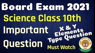 Science Class 10 Important Questions 2021 | Class 10 Science X & Y  Elements Types Questions