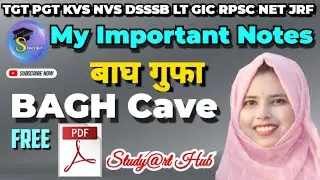 बाघ गुफा की संपूर्ण जानकारी By Studyarthub || बाघ गुफा || bagh Cave in Detailed by Study@rt Hub