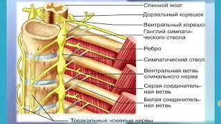 ВНС Запись с экрана