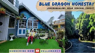 Blue Dragon Homestay- Experience SERENITY Like a Monk at Jorebungalow Darjeeling