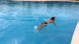 momo swimming -1