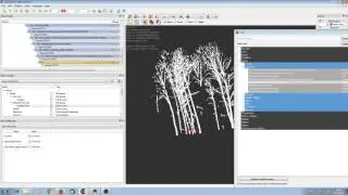 Plot Processing Step 4   Preparing the tree clouds