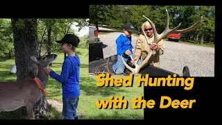 Springtime Shed Hunting with Daniel and Houston and Lucy!