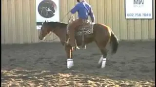 Maling Cutting Horses: Brow's CD 75