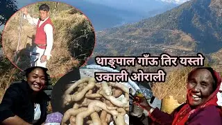 थाङ्पाल गाँऊ तिर रमाइलो 🫠❤️ Thangpal VillageVlog Sindhupalchowk Vlogs #TheGoleBronepal 