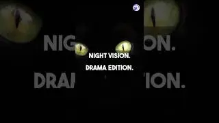 Why Cats&rsquo; Eyes Glow in the Dark (And Why Yours Might Not!) 🐱✨ #pets  #petfactfiles #petshorts