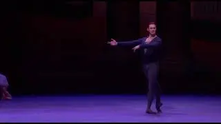 SWAN LAKE - Prince Siegfried Variation (Stanislav Jermakov - Zurich Ballet)