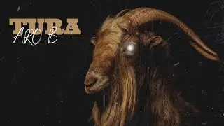 Aro_B - TURA (official audio)