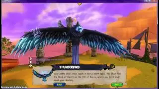 Pirate101: Epic Bird Moment