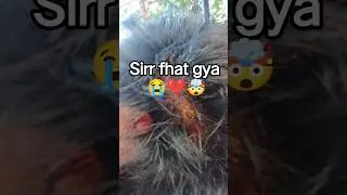 sirrr fhat gya 😭💔🤯 #cricket #gullycricket #viralshorts #fypシ #trending #injury #minivlog #day31