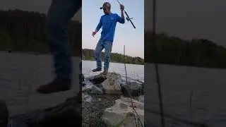 pesca con carnada viva