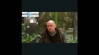 M2M Express отзывы. Геосервис