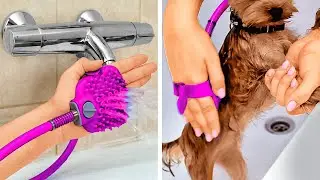GENIALES IDEAS Y ART&Iacute;CULOS PARA LOS DUE&Ntilde;OS DE MASCOTAS
